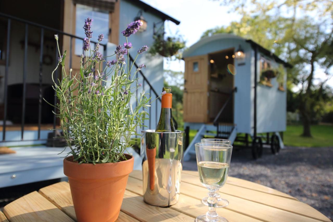 Upper Gelli Luxury Holiday Lodge, Converted Dairy & Cosy Shepherds Huts Welshpool Eksteriør bilde
