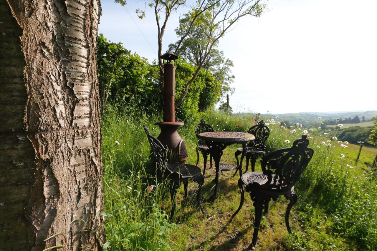 Upper Gelli Luxury Holiday Lodge, Converted Dairy & Cosy Shepherds Huts Welshpool Eksteriør bilde