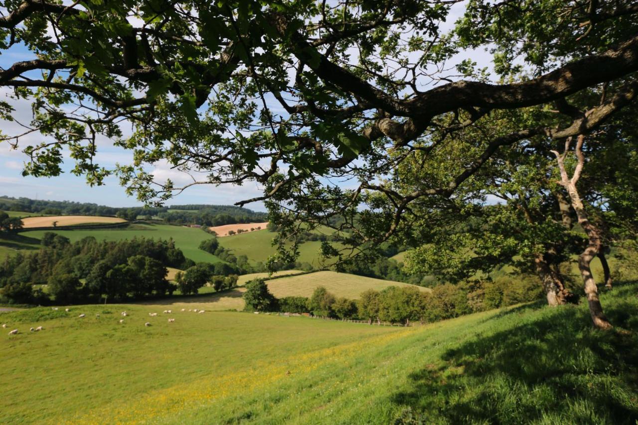 Upper Gelli Luxury Holiday Lodge, Converted Dairy & Cosy Shepherds Huts Welshpool Eksteriør bilde
