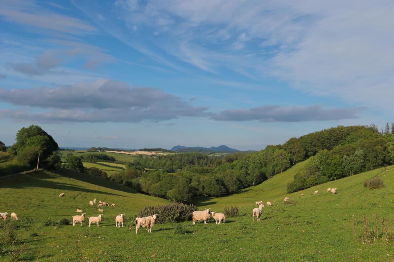 Upper Gelli Luxury Holiday Lodge, Converted Dairy & Cosy Shepherds Huts Welshpool Eksteriør bilde