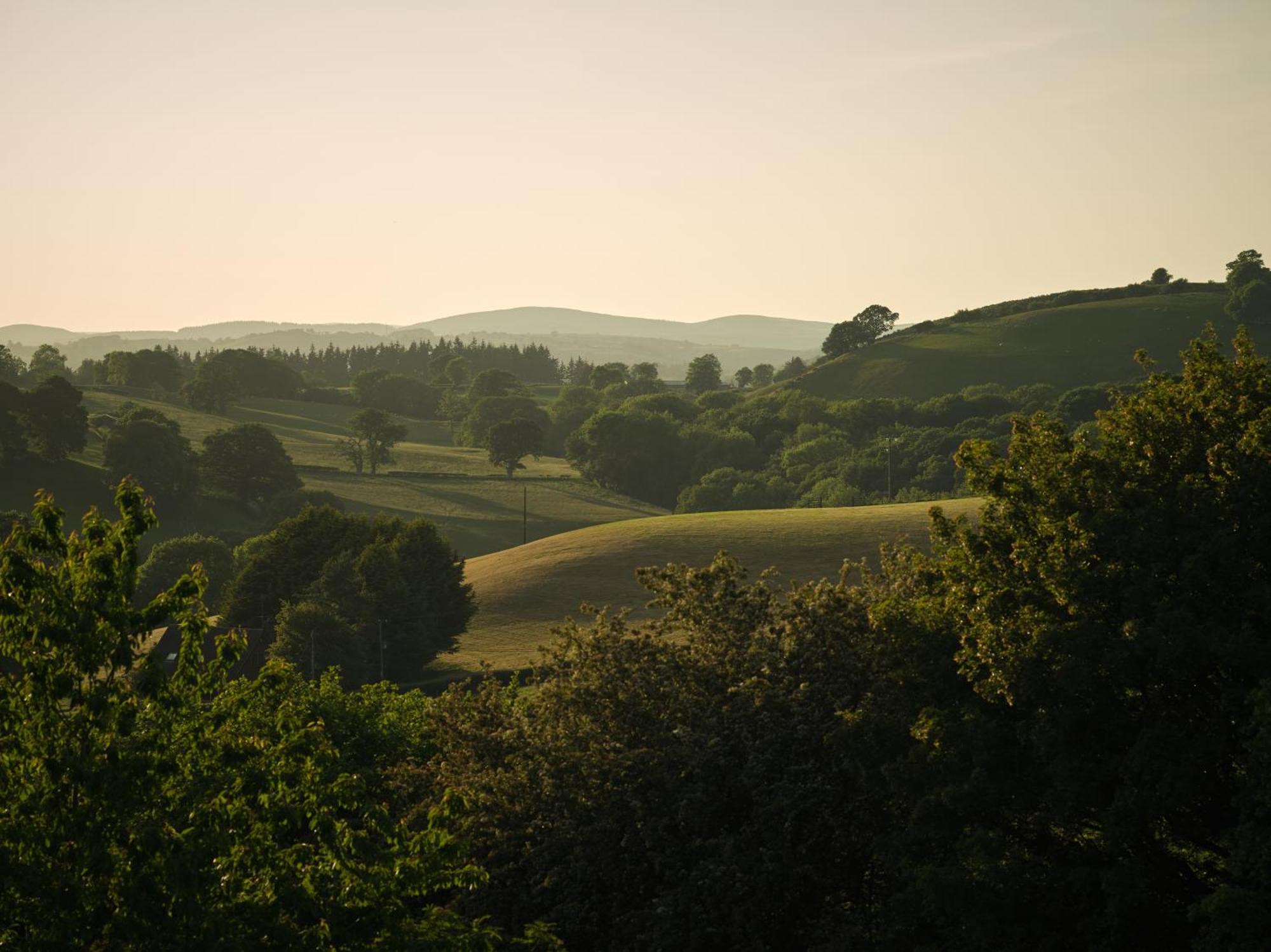 Upper Gelli Luxury Holiday Lodge, Converted Dairy & Cosy Shepherds Huts Welshpool Eksteriør bilde